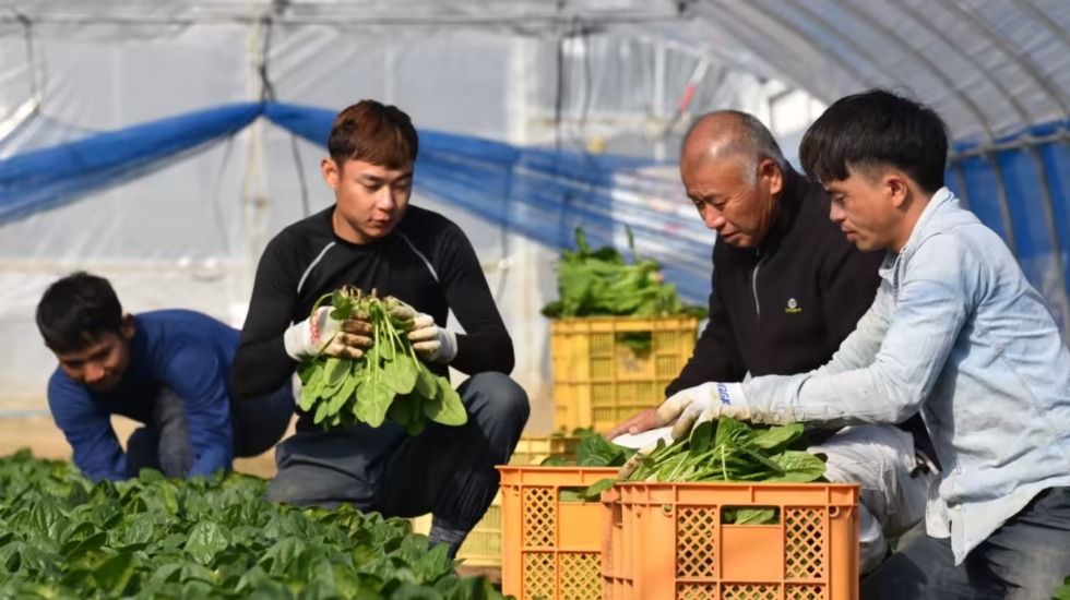 Small and Medium Enterprises