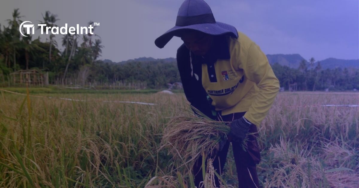 Keadaan industri beras Indonesia saat ini