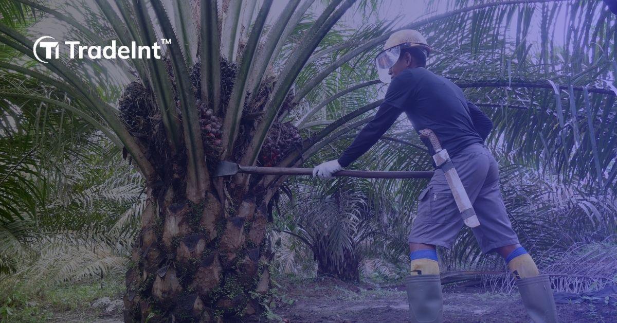 kebijakan ekonomi indonesia pengaruhi hilirisasi dan industrialisasi - TradeInt kebijakan ekonomi indonesia pengaruhi hilirisasi dan industrialisasi