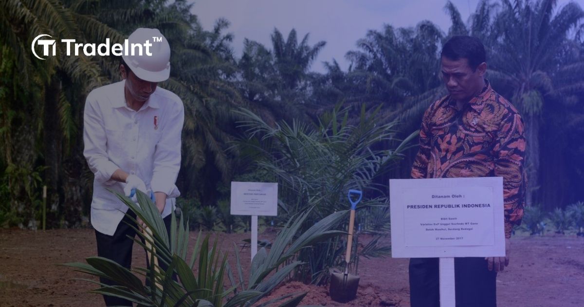 kesiapan pemerintah indonesia hadapi peningkatan permintaan kelapa sawit