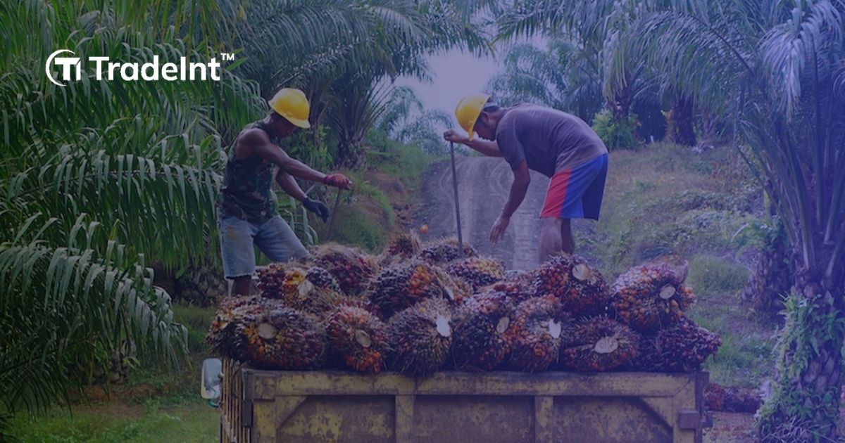 tren peningkatan ekspor kelapa sawit indonesia - TradeInt tren peningkatan ekspor kelapa sawit indonesia
